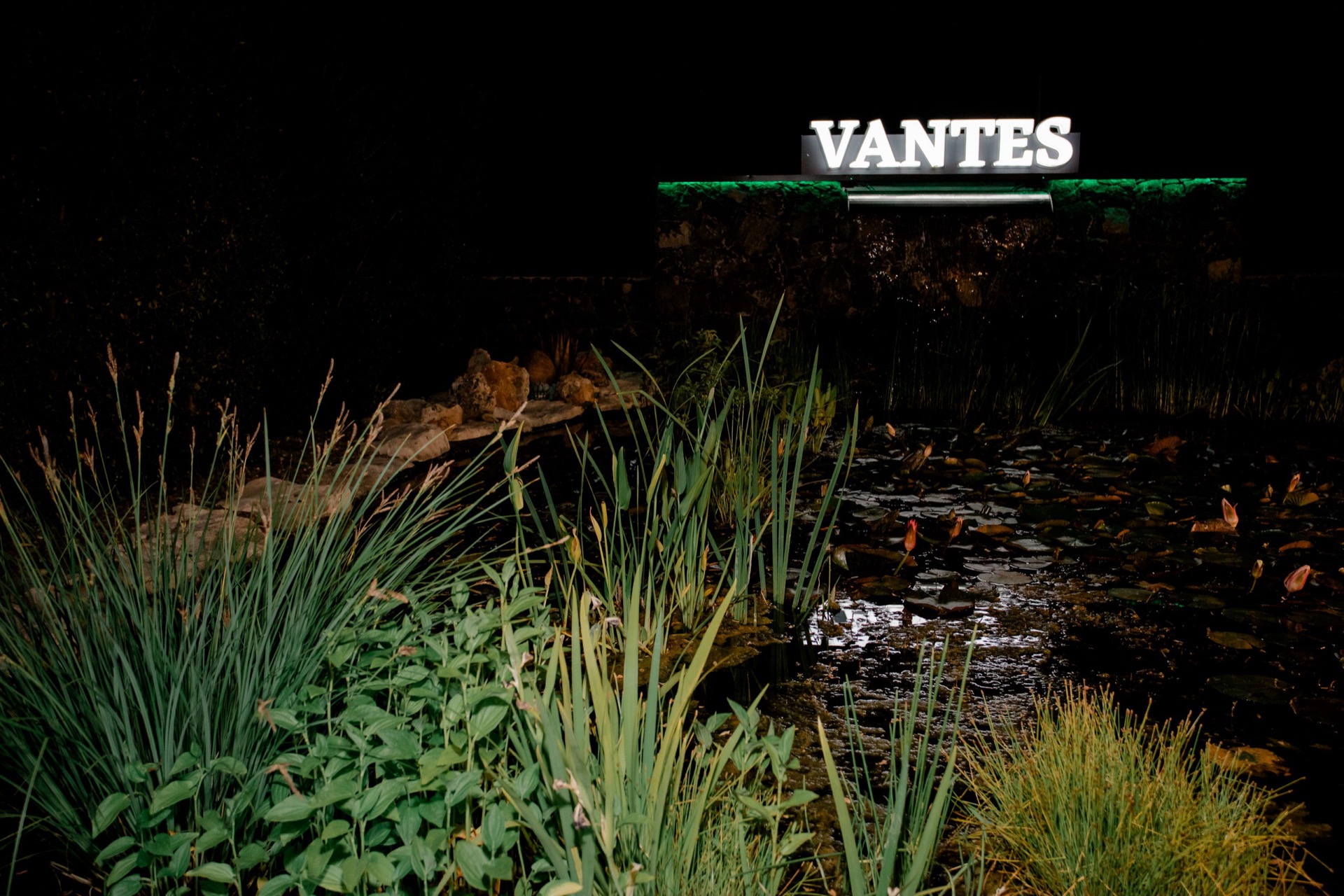 Laghetto notturno con piante acquatiche in primo piano e la scritta VANTES illuminata sopra la cascata sullo sfondo. La scena è buia e scenografica, con riflessi sull'acqua e vegetazione ornamentale ai bordi.